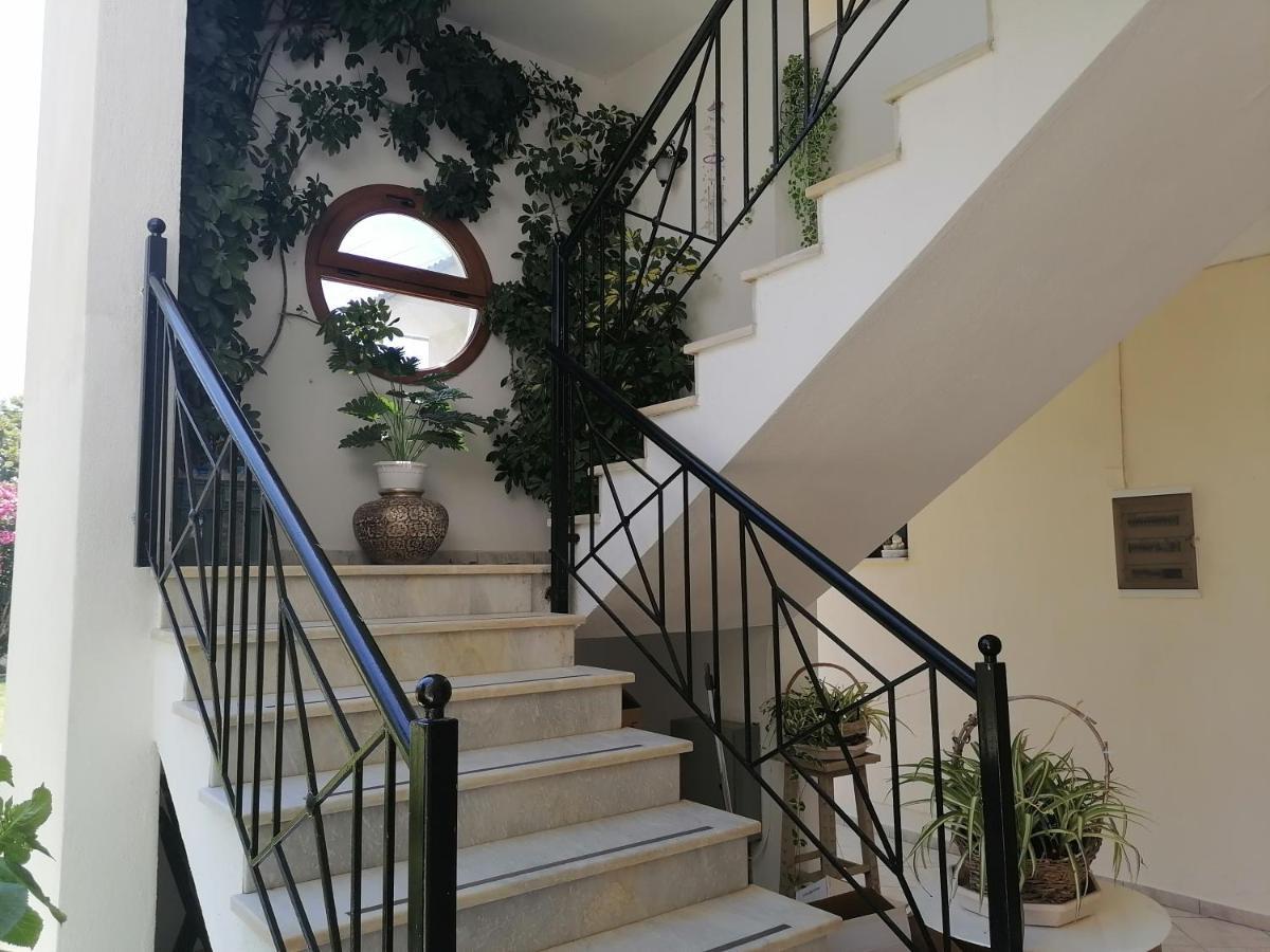 Palatino Studios أغيا باراسكيفي المظهر الخارجي الصورة